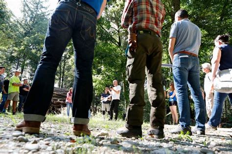 mägenwiler wald|Geschichten aus dem «Schwulenwäldli» bei Mägenwil。